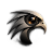 Photo Falcon